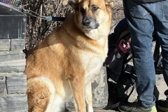 428645237_25477319781858957_7345224458261831971_n