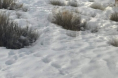 409155908_25516905257900409_6822341316992842009_n-1