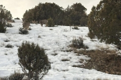 428640381_25516904061233862_5047135502080479930_n-1