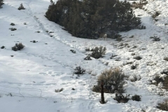 428646952_25516904397900495_6639219760843495001_n-1