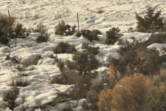 428651570_25516903537900581_1175090703610313317_n-1