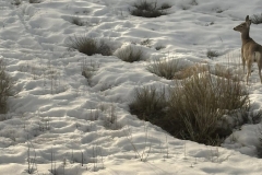 428651790_25516903591233909_2637650699394302169_n-1