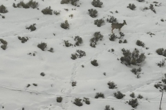 428653358_25516903787900556_6025517694977870399_n-1