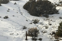 428653790_25516904481233820_1623410343466612389_n-1