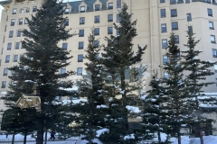 428649879_25483262384598030_8018753164160169402_n