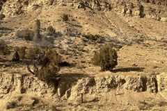 428647821_25516853811238887_3636029788306305115_n