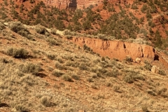 428651786_25516856151238653_5964696892312411038_n